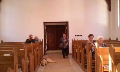 20180916_110330.jpg - small