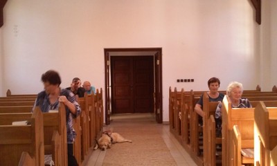 20180916_110336.jpg - small