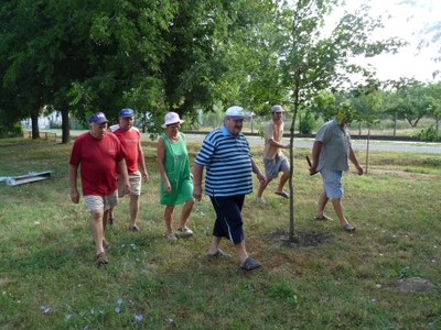 P1330581.JPG - small