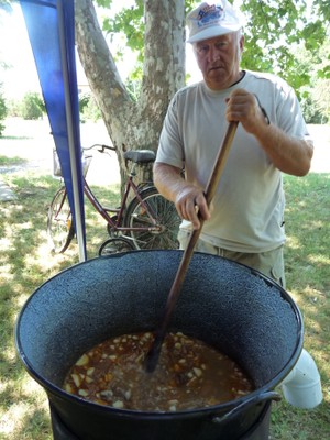 P1330661.JPG - small