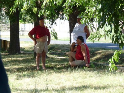 P1330963.JPG - small