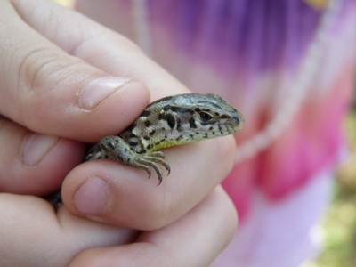 P1320497.JPG - small