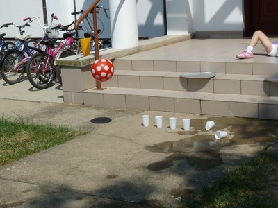 P1320567.JPG - small