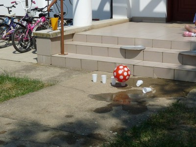 P1320568.JPG - small