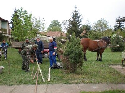 P4230015.JPG - small