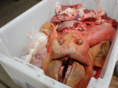 P4230040.JPG - small