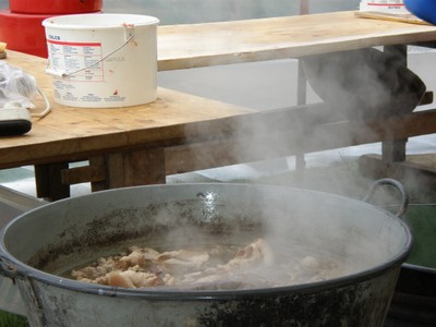 P4230057.JPG - small