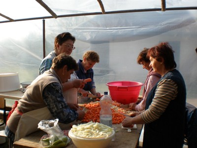 P4240004.JPG - small