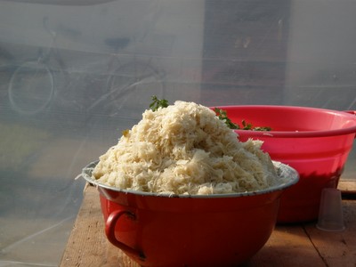 P4240013.JPG - small