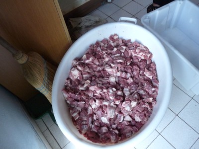 P1010375.JPG - small