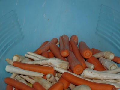 P1010377.JPG - small