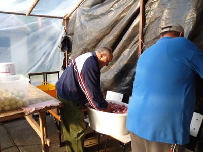 P1010384.JPG - small